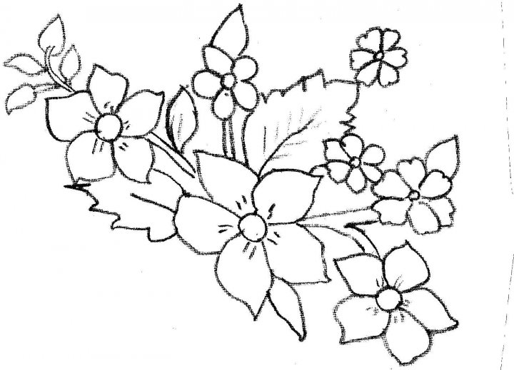 nakış desenleri
