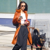 Emrata'nın köpeğini gezdiren en şık insan olduğunun 10 ispatı
